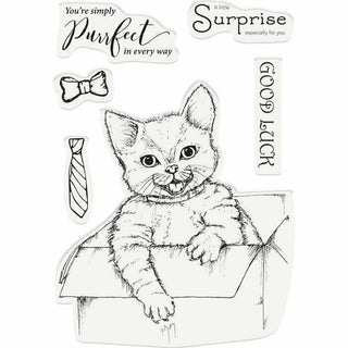 Crafters Companion Photopolymer Stamp - A Little Surprise