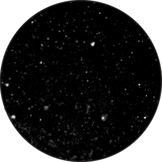 Ranger Embossing Powder - Black