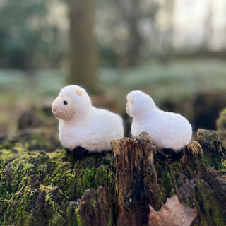 Sheep Family Needle Felting Craft Kit