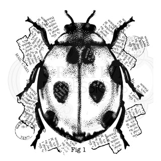 Woodware Ladybird Clear Stamp