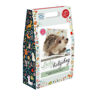 Baby Hedgehog Needle Felting Craft Kit