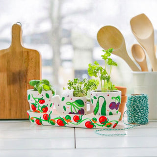 RHS Paint Your Own Windowsill Kit