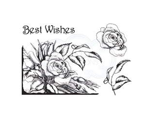 Woodware Singles Rose Corner Clear Stamps